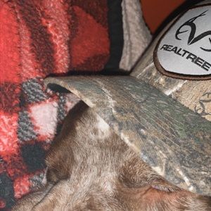 Meet your Posher, Lucas